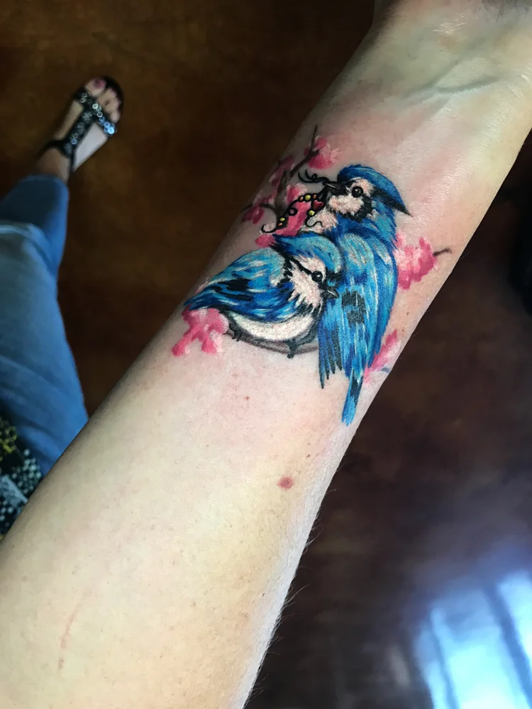 Color blue jay bird tattoo on the forearm
