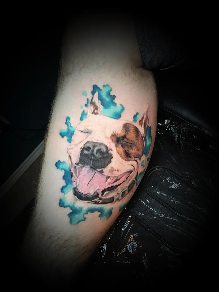Color dog portrait with blue watercolor accents